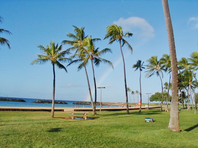 ハワイのビーチファンダイビング