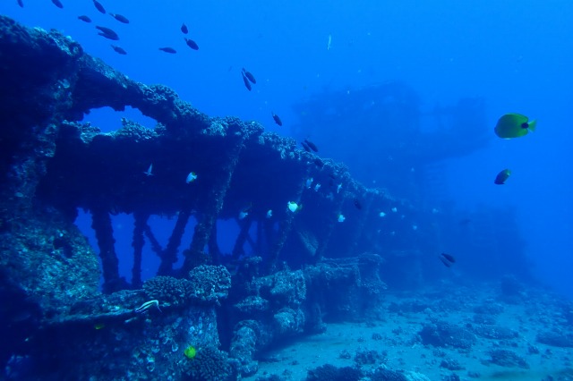 ハワイの沈没船ダイビング
